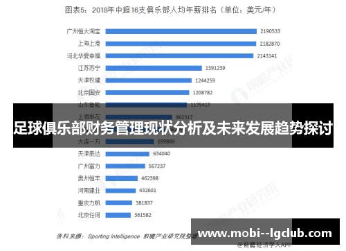 足球俱乐部财务管理现状分析及未来发展趋势探讨 足球俱乐部财务管理现状分析及未来发展趋势探讨