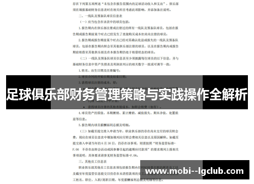 足球俱乐部财务管理策略与实践操作全解析 足球俱乐部财务管理策略与实践操作全解析