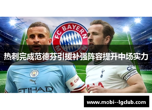 热刺完成范德芬引援补强阵容提升中场实力 热刺完成范德芬引援补强阵容提升中场实力